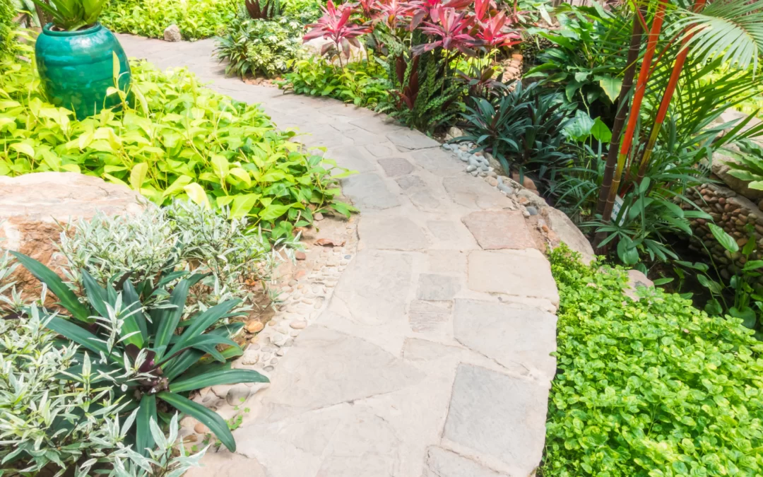 Diseño de jardines pequeños: 10 errores comunes y cómo evitarlos